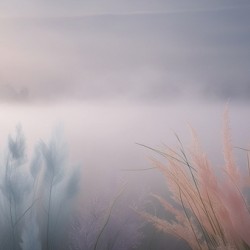 First Light Whispers