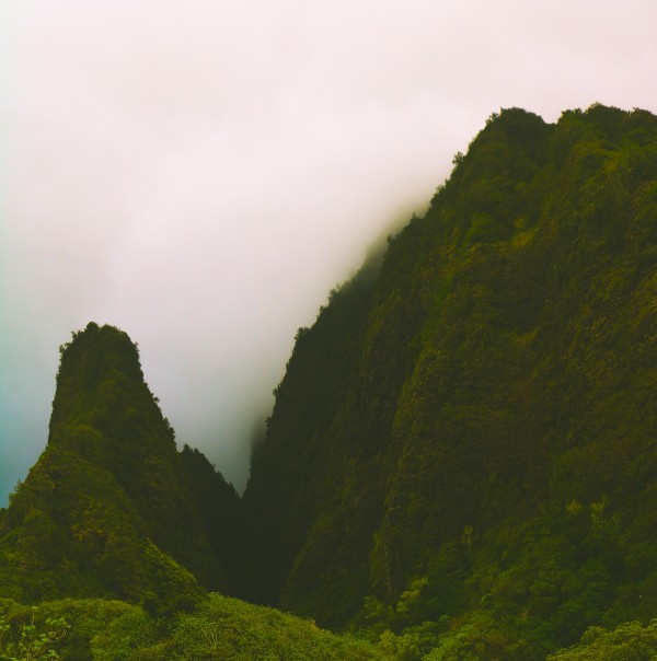 Mountain Mist by Heather Schmuki