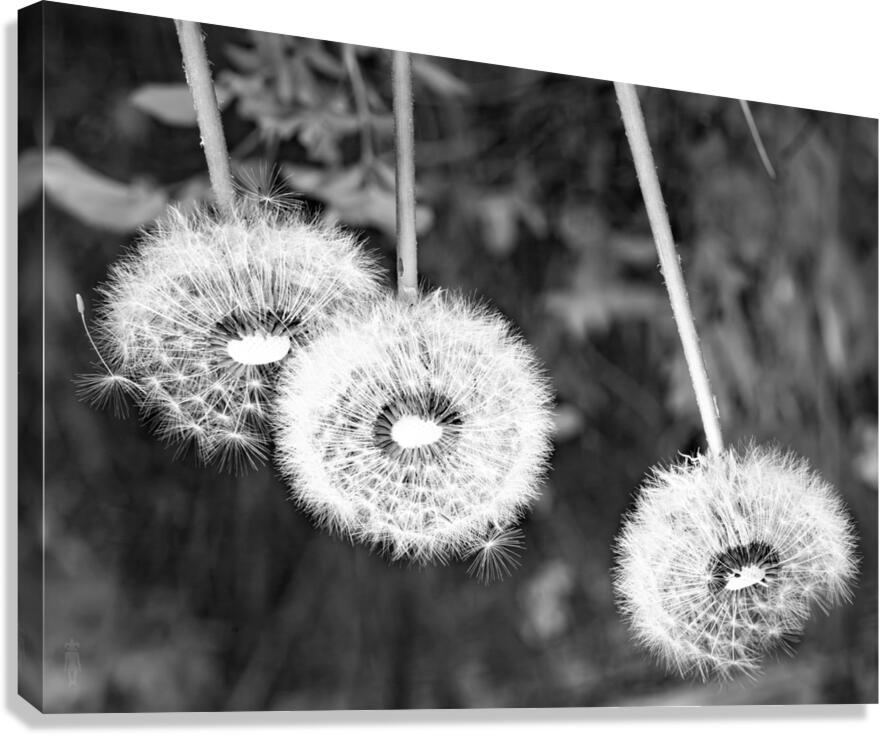 time Canvas Print