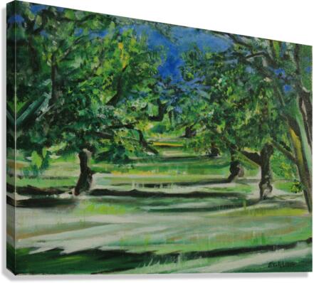 Apple Orchard Canvas Print