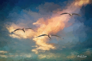 WoodStork4 Edit   Copy   Copy