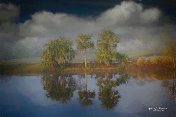 ThreeTrees copy Edit by David E Francey Photography