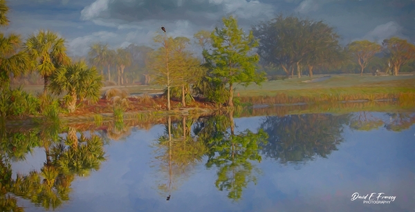 Longview2 Edit by David E Francey Photography