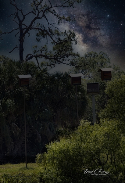 IMG 2542BatHouses Print