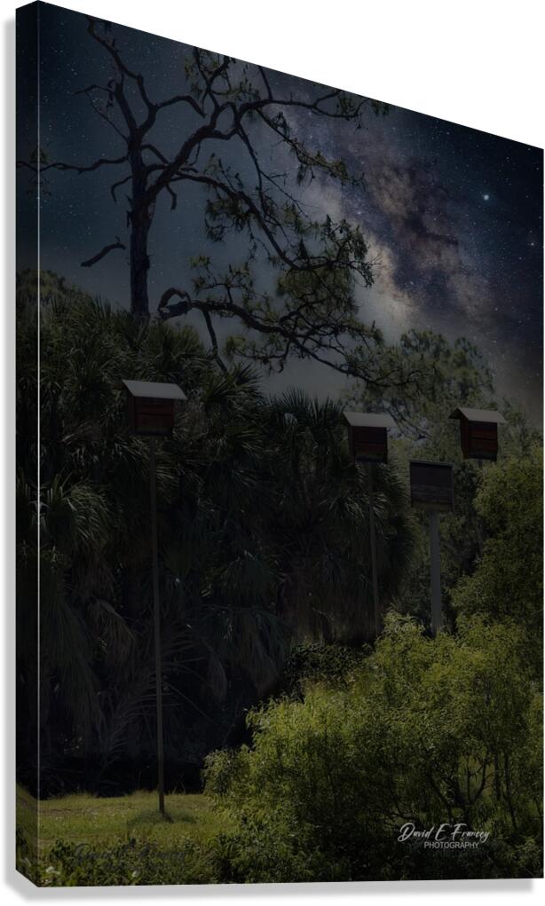 IMG 2542BatHouses Canvas Print