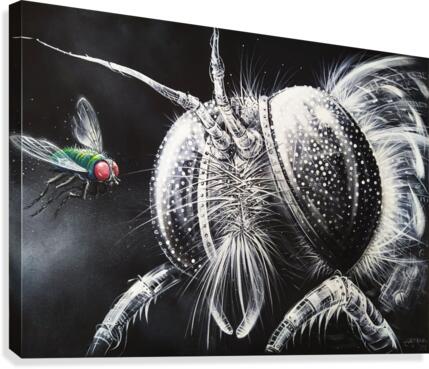 A Fly Canvas Print