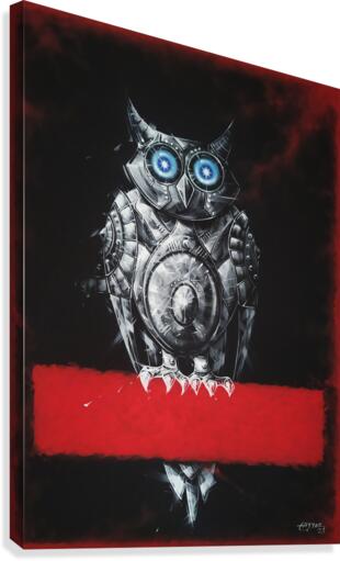 An Owl Canvas Print