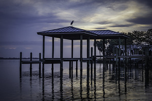 Perched 