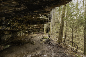 Under the cliff