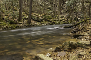 Lone expo creek bed 