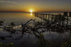 Into the sun