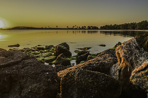 Coquina