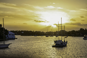 Sunny boats