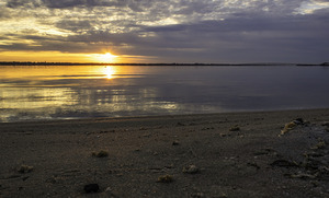Riverbed 