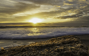 Sunrise with coquina rocks