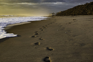 Footsteps 