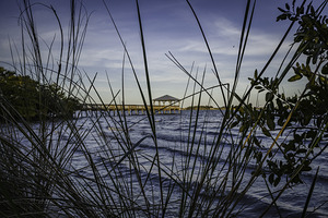Through the grass