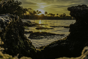 Through the coquina