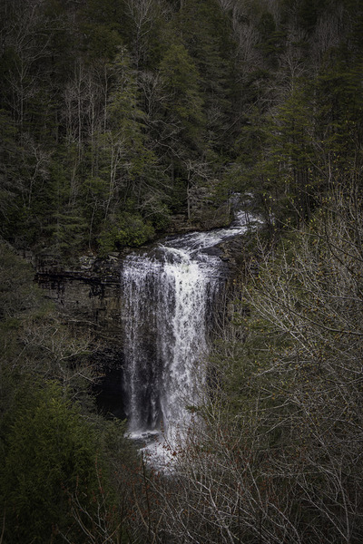 Lookout Print