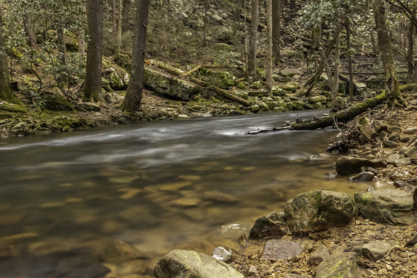 Lone expo creek bed  Print