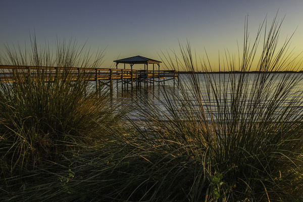 Through the blades Print