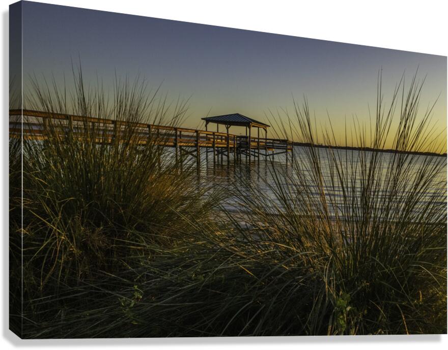 Through the blades Canvas Print