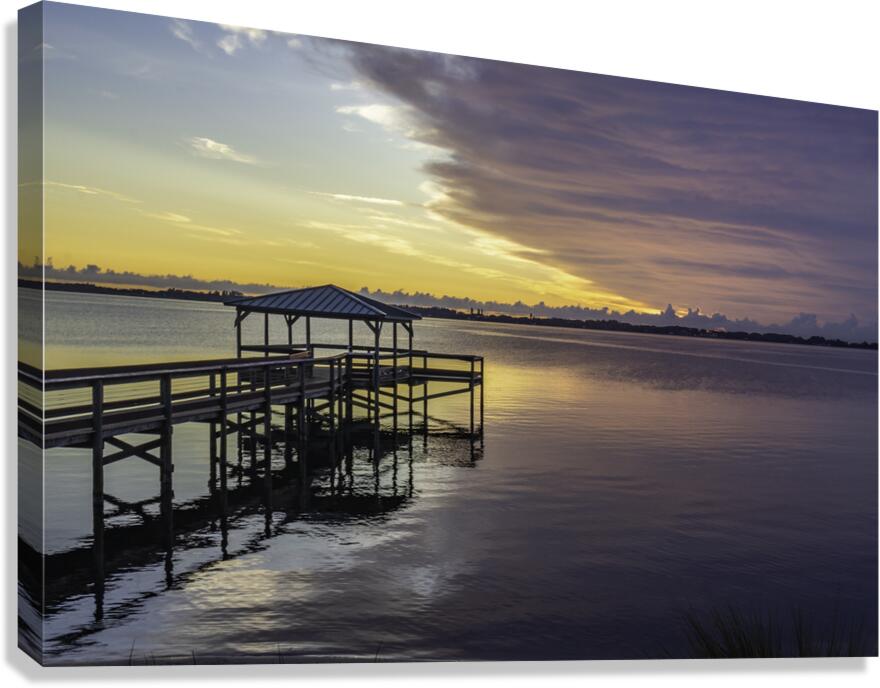 Lavender sky Canvas Print