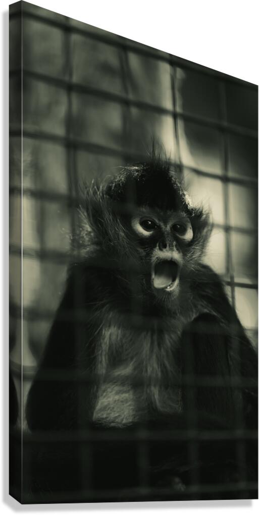 Entangled Expressions Canvas Print