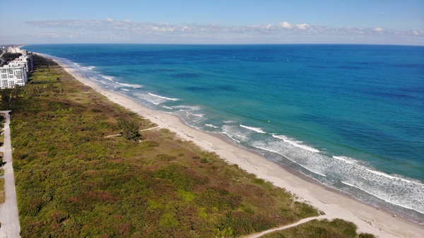 Hutchinson Island FL Print