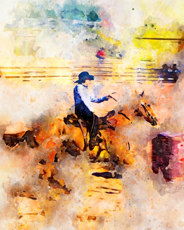 Rock Creek Rodeo Girl by Nancy Calvert