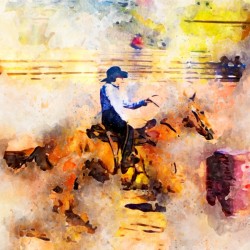 Rock Creek Rodeo Girl