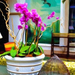 Sea Island Solarium