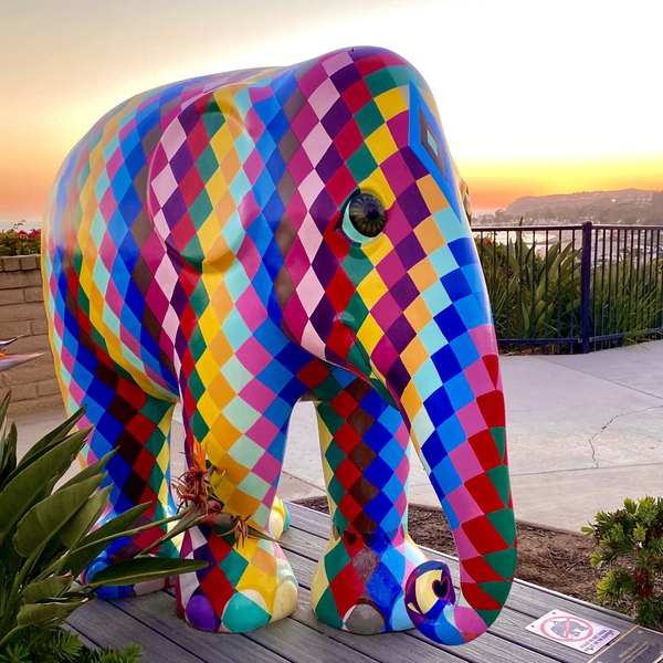 Bright Beauty Elephant - Dana Point Collection by Brandon Hauseman