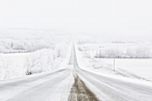 Snow Day