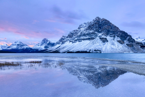 Blue Morning at Bow Lake