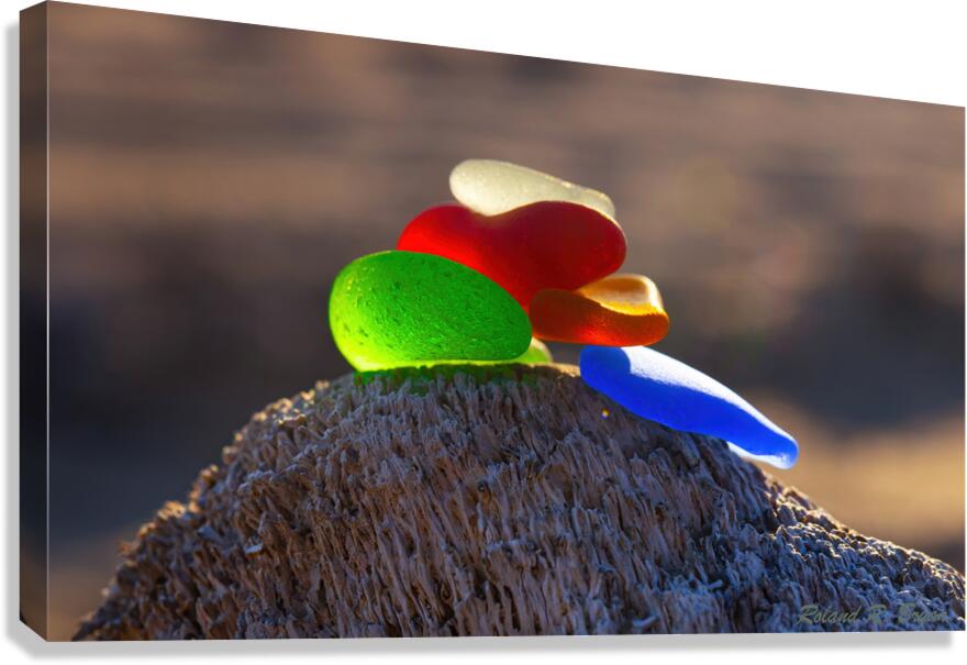 Salt Water Candy Canvas Print