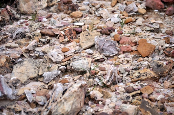 Pebbles Print