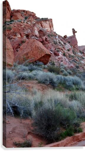 Duck Rock Canvas Print