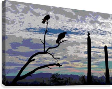 Hawk Eye View Canvas Print