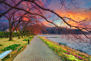 Fugi lake path sunset arkvis A 