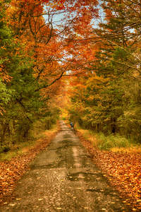 road less travelled A 3524 hdr