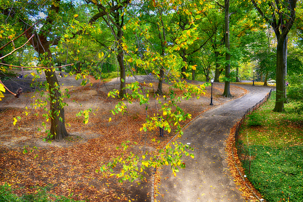 A Walk In The Park  Print