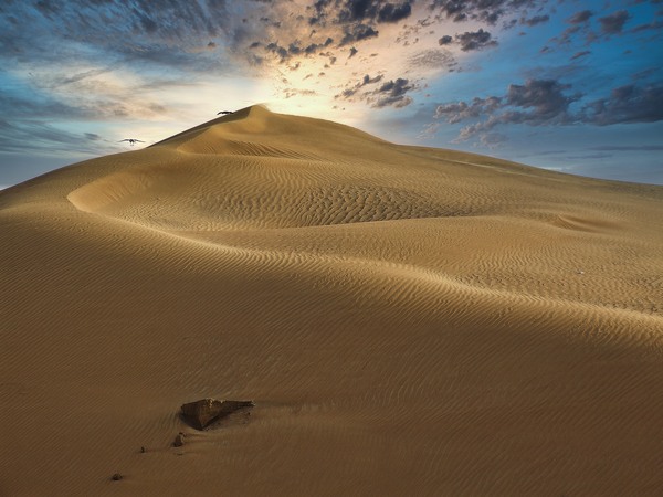 Dubai Desert Dunes Print