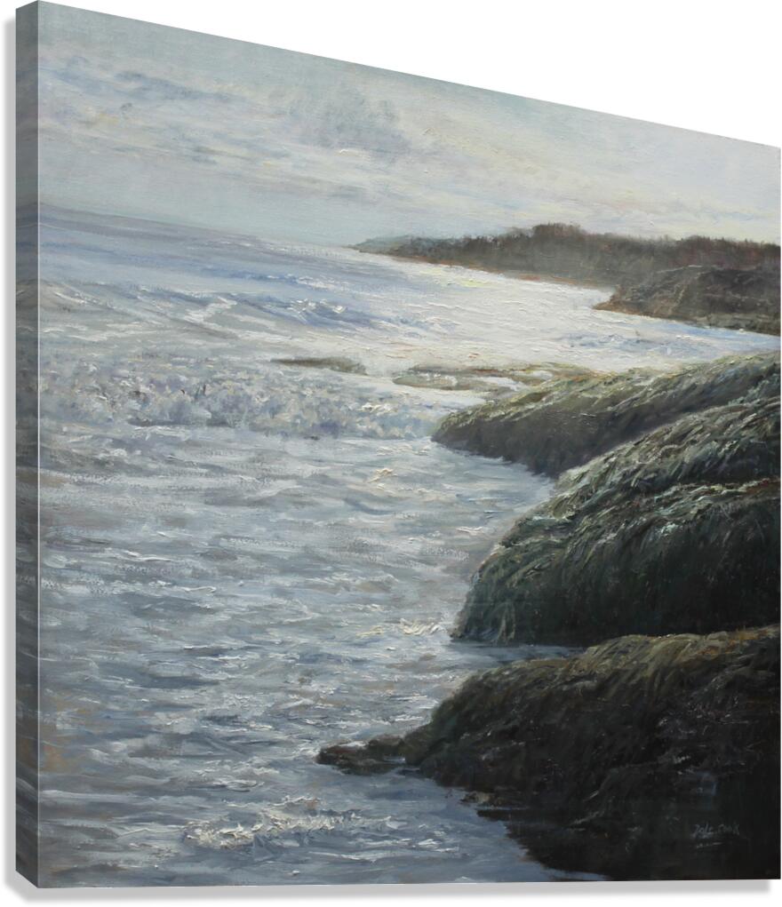 Glancing Light Canvas Print