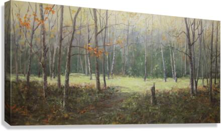 Hidden Canvas Print