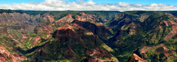 Waimea Canyon pano by Andrew Wasik
