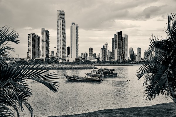 Panama City by Andrew Wasik