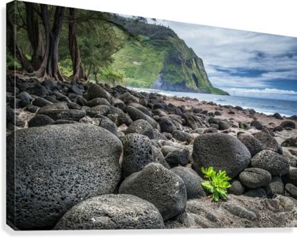 volcanic beach Canvas Print