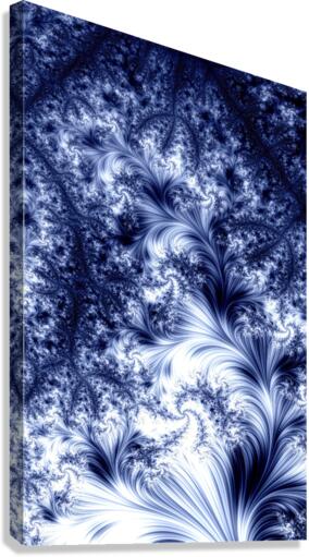 infared fractals Canvas Print