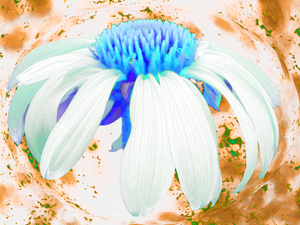 Abstract Cone Flower on an Abstract Mottled Background